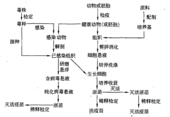 药厂设计