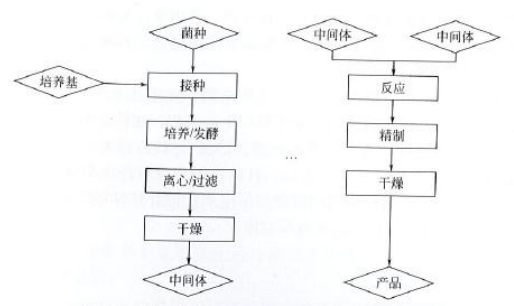 药厂设计